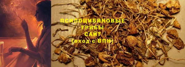 СК Верея
