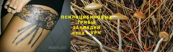 СК Верея