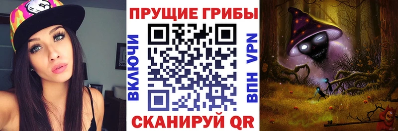 Галлюциногенные грибы Psilocybine cubensis  купить наркоту  это наркотические препараты  Дальнереченск 